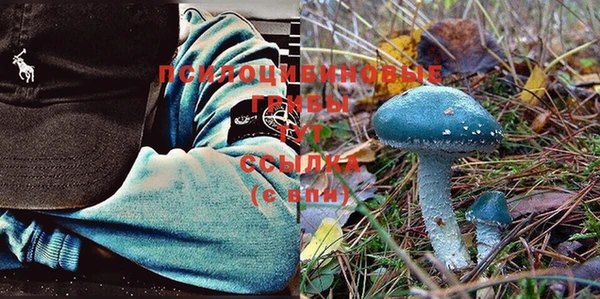 ECSTASY Абинск