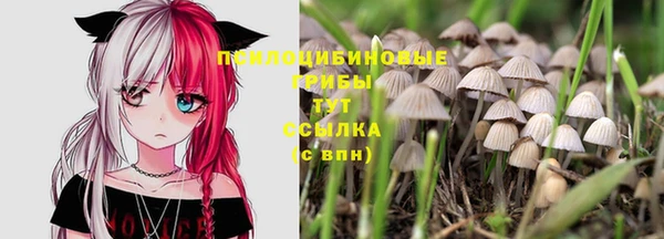 бошки Алексеевка