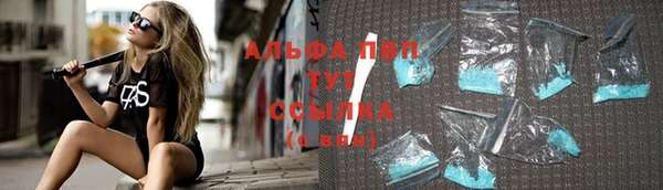 соль ск Ельня